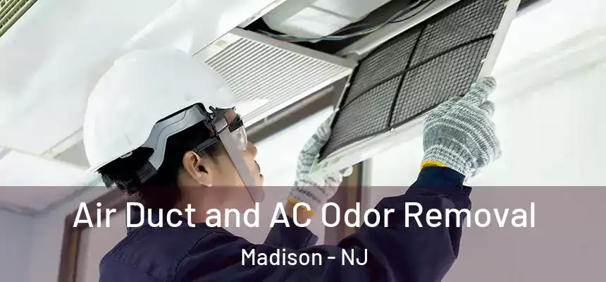  Air Duct and AC Odor Removal Madison - NJ
