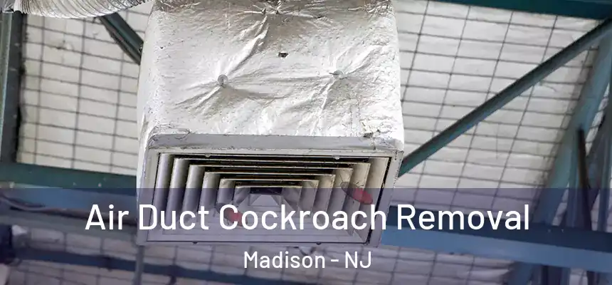  Air Duct Cockroach Removal Madison - NJ