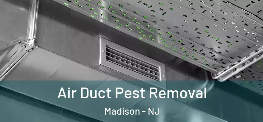  Air Duct Pest Removal Madison - NJ