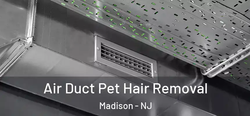  Air Duct Pet Hair Removal Madison - NJ
