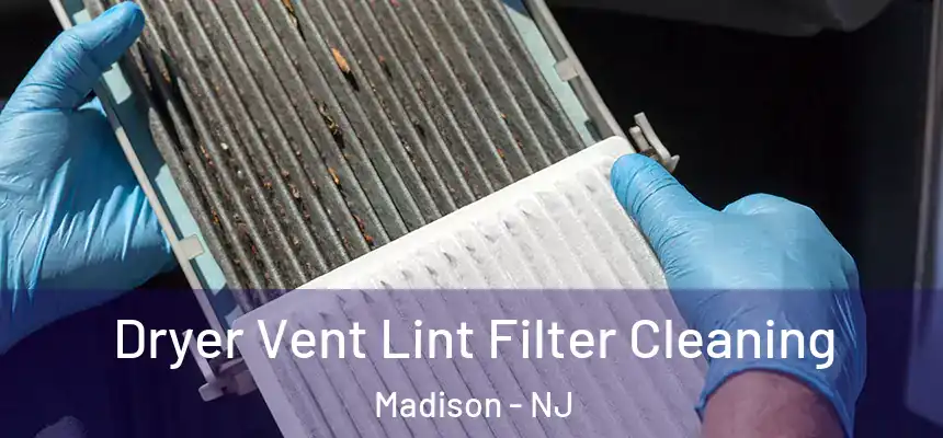  Dryer Vent Lint Filter Cleaning Madison - NJ