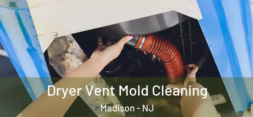  Dryer Vent Mold Cleaning Madison - NJ