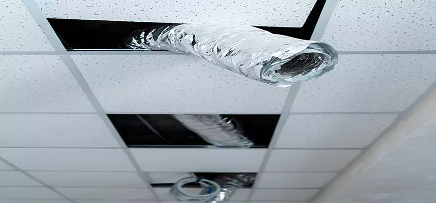 Affordable HVAC Sanitizing After Pest Removal in Madison