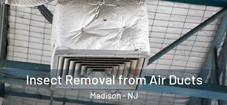  Insect Removal from Air Ducts Madison - NJ