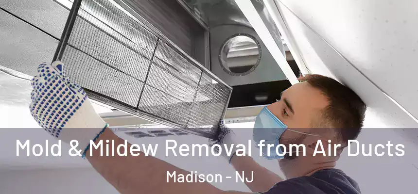  Mold & Mildew Removal from Air Ducts Madison - NJ