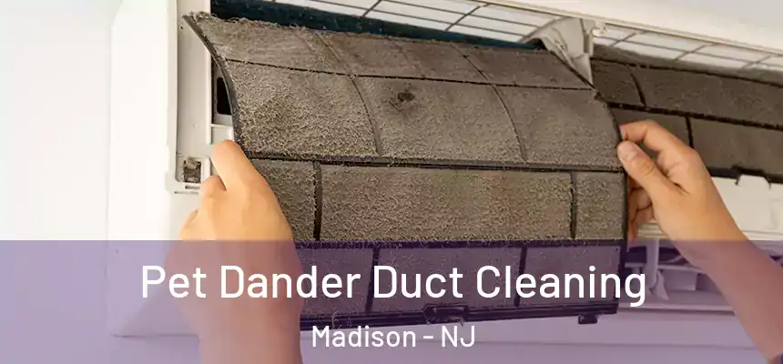  Pet Dander Duct Cleaning Madison - NJ