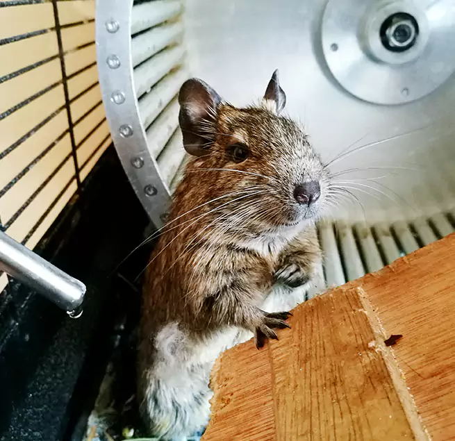 Why Homeowners & Businesses Trust Us Madison, NJ